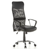 ARTON 20 - Home Office Executive Chair