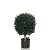 BUXUS - Artificial plant