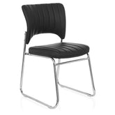 CASPI V - Guest Chair Conference Chair