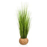 CORTADERIA - Artificial plant
