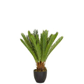 CYCAS - Artificial plant