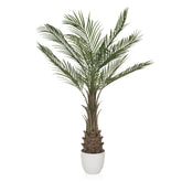 DRACAENA - Artificial plant