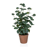 Eucalyptus - Artificial plant