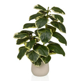 Ficus 3 - Artificial plant