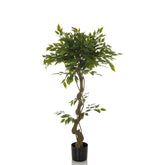 FICUS I - Artificial plant