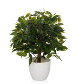 FICUS II - Artificial plant
