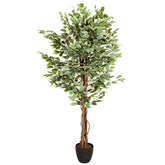 FICUS - Artificial plant
