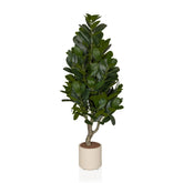 Garcinia - Artificial plant