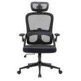 MC102C-M101 | Sihoo - Professional Office Chair