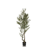 OLIVE I - Artificial plant