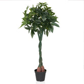 PACHIRA - Artificial plant