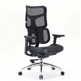 S100-M301 | Sihoo - Professional Office Chair