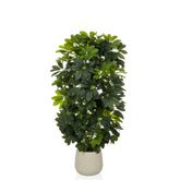 Schefflera 2 - Artificial plant