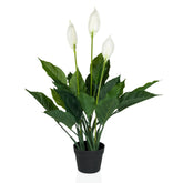 SPATHIPHYLLUM - Artificial plant