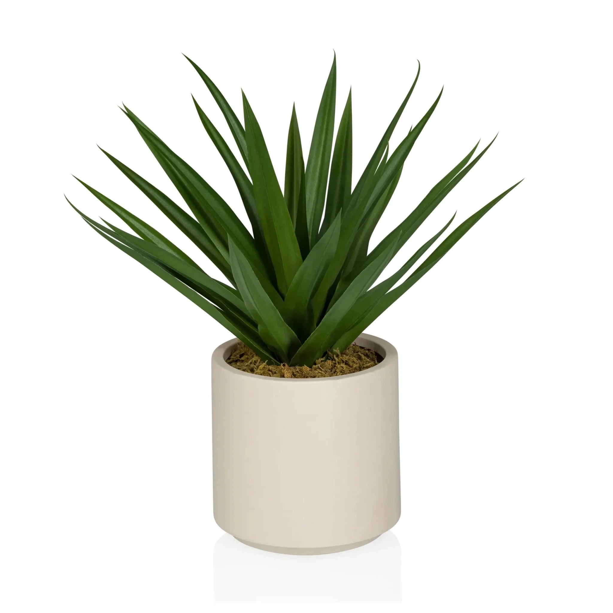 Agave - Artificial plant