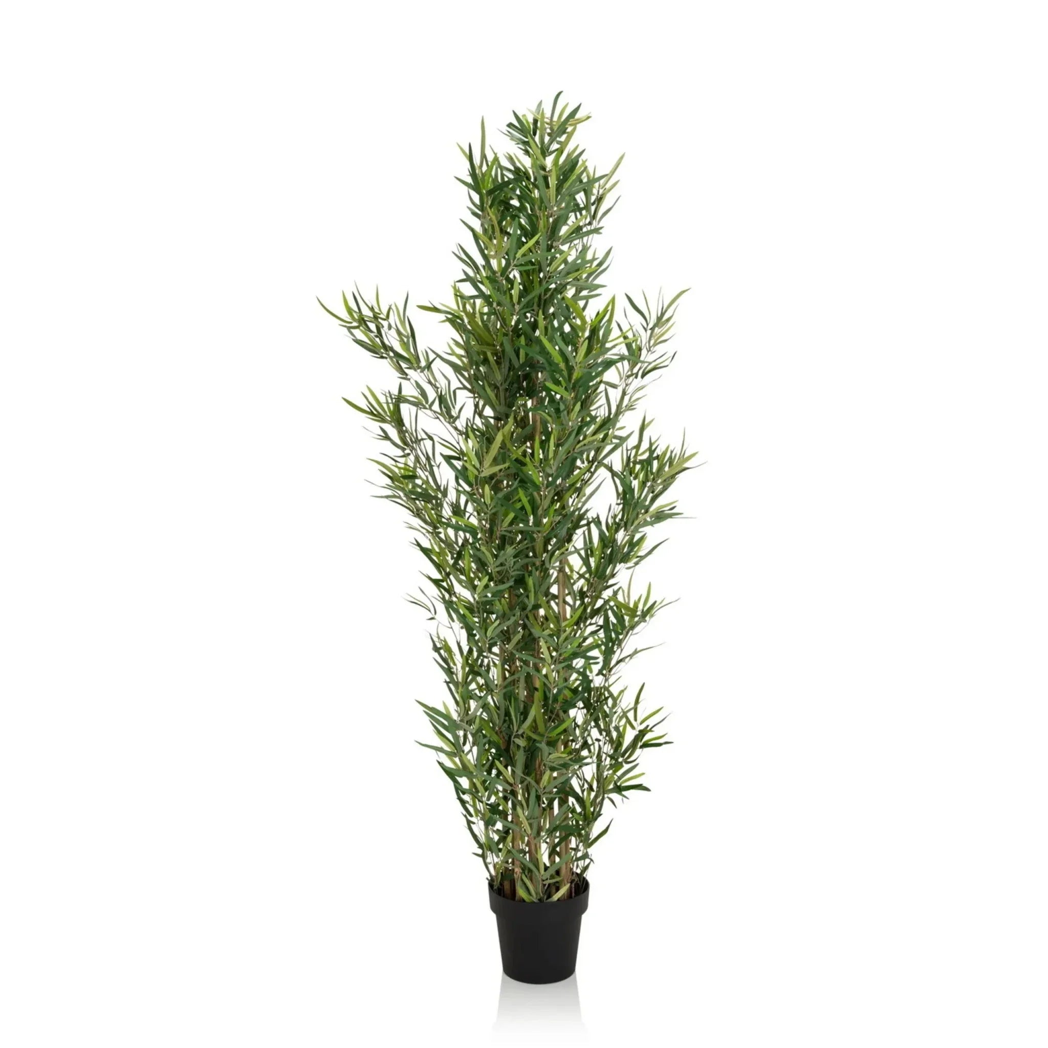 BAMBUS - Artificial plant