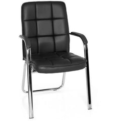 BORNE - Guest Chair Conference Chair