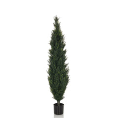 CEDRUS - Artificial plant