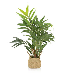 CHAMAEDOREA - Artificial plant