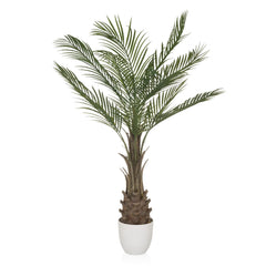 DRACAENA - Artificial plant