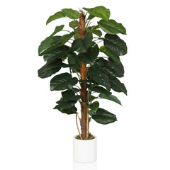 EPIPREMNUM - Artificial plant