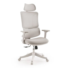 Ergomy Colore | Fabric / 3D Mesh | Frame: Colourful - Home Office Chair