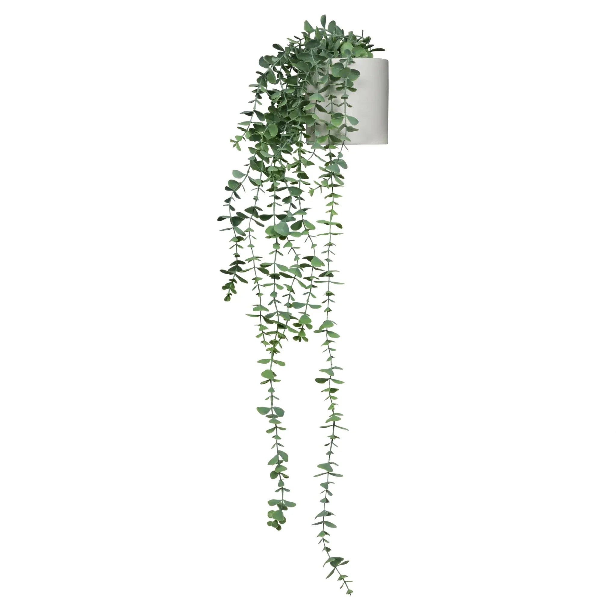 EUCALYPTUS CLIMB - Artificial plant