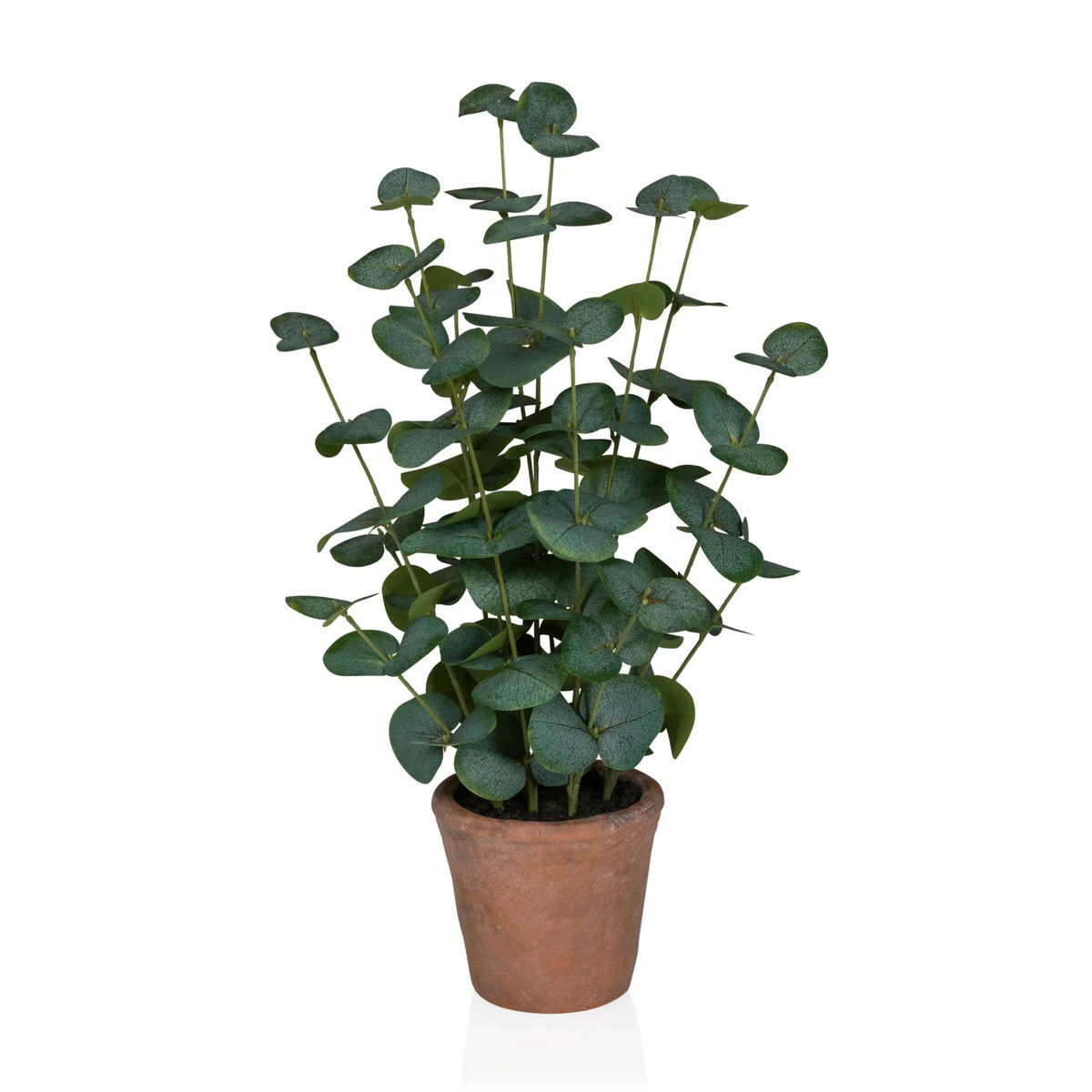 Eucalyptus - Artificial plant