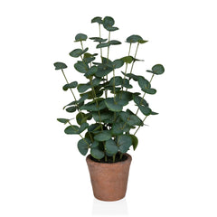 Eucalyptus - Artificial plant