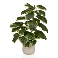 Ficus 3 - Artificial plant