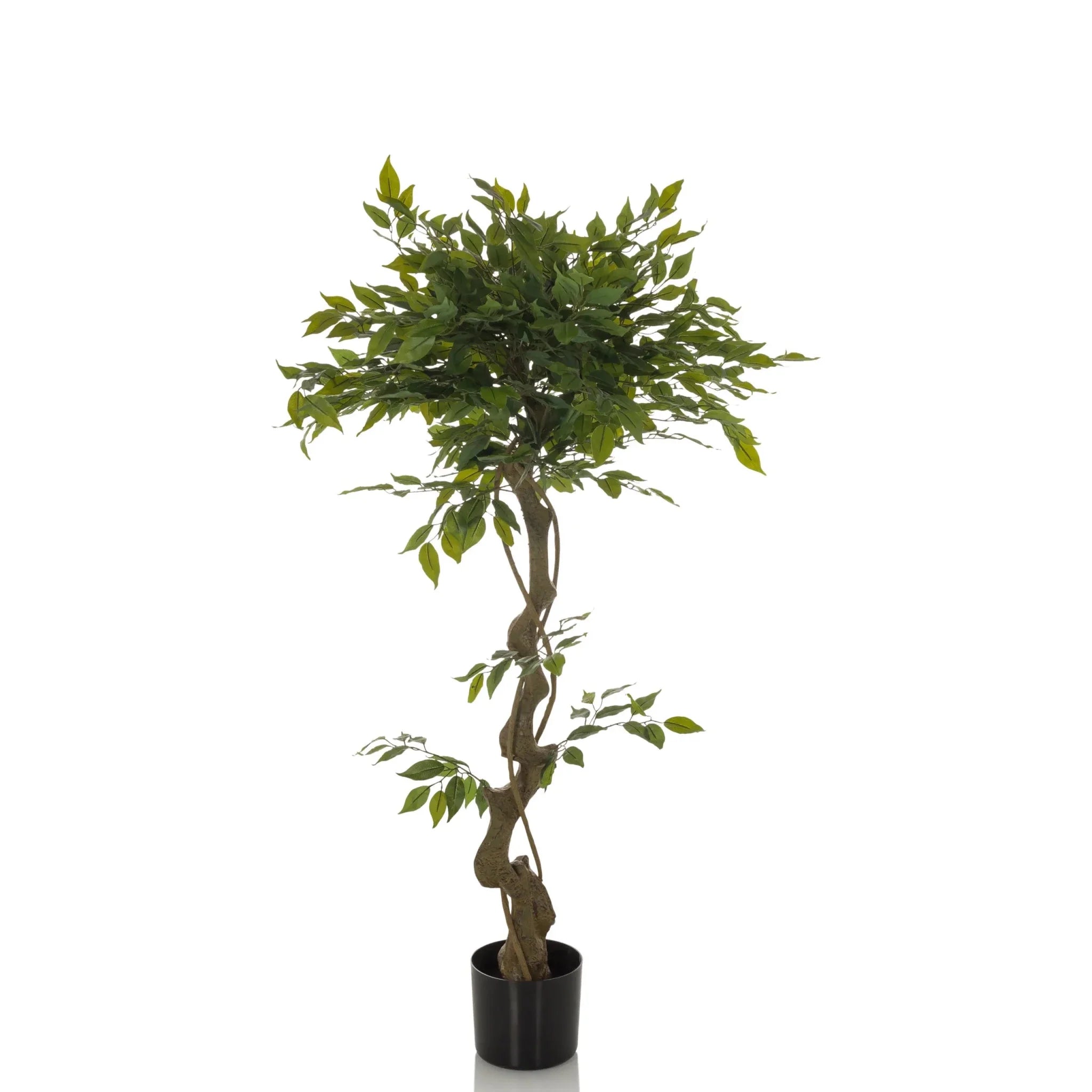 FICUS I - Artificial plant