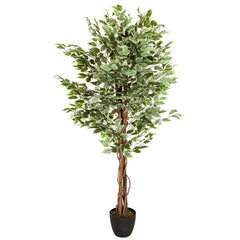 FICUS - Artificial plant