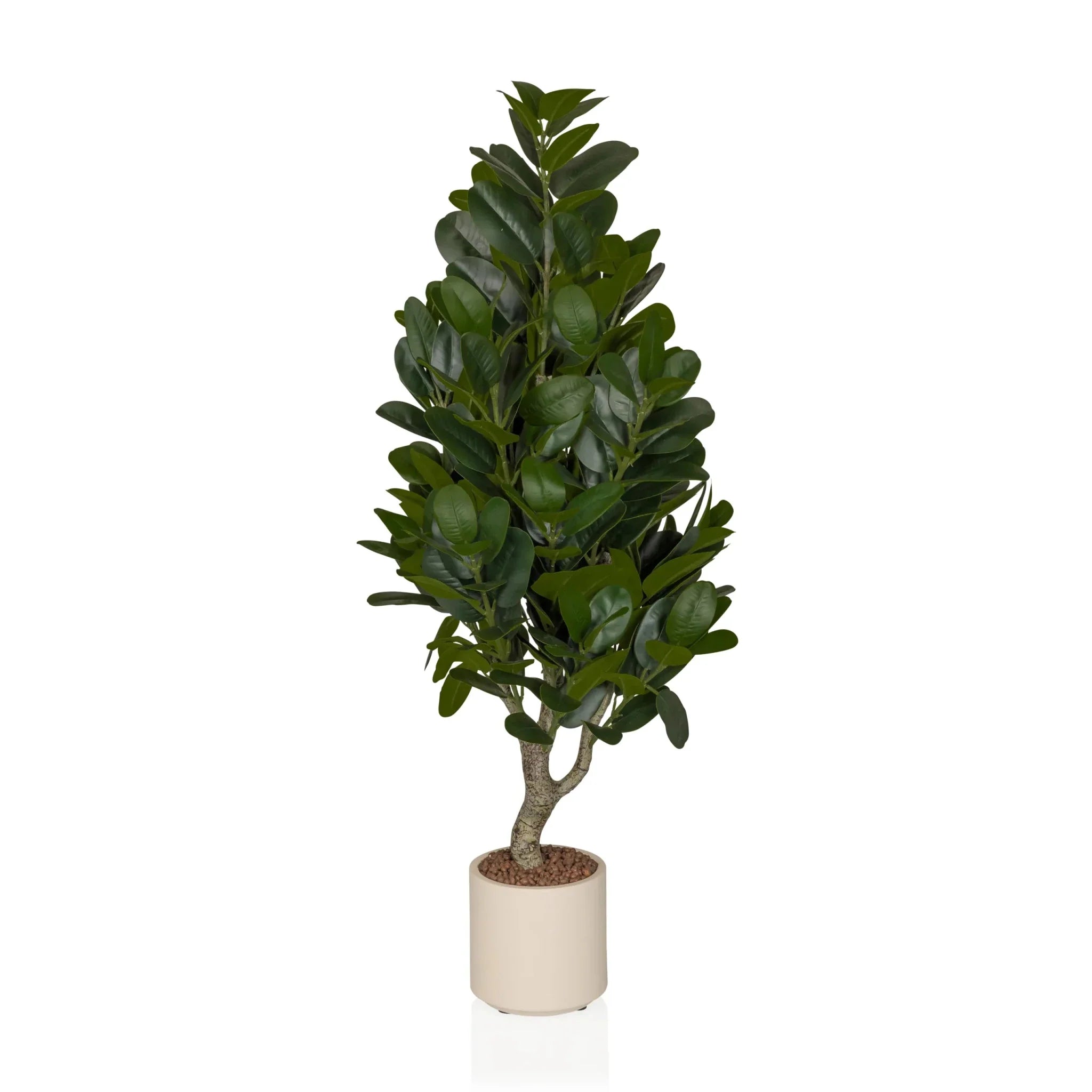 Garcinia - Artificial plant