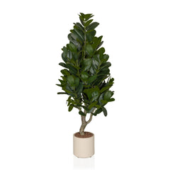 Garcinia - Artificial plant