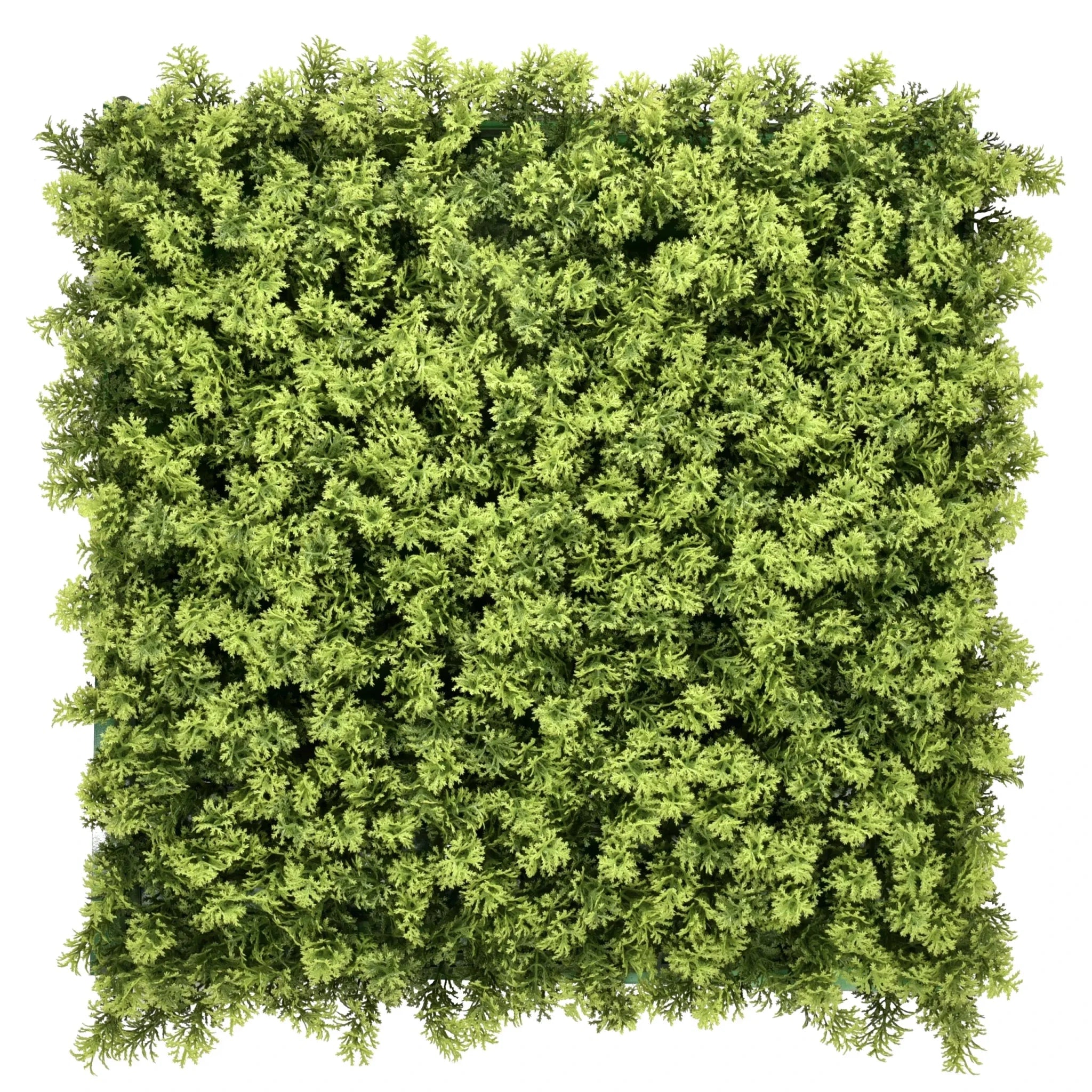 LEAFLUXE 3 - Plant mat