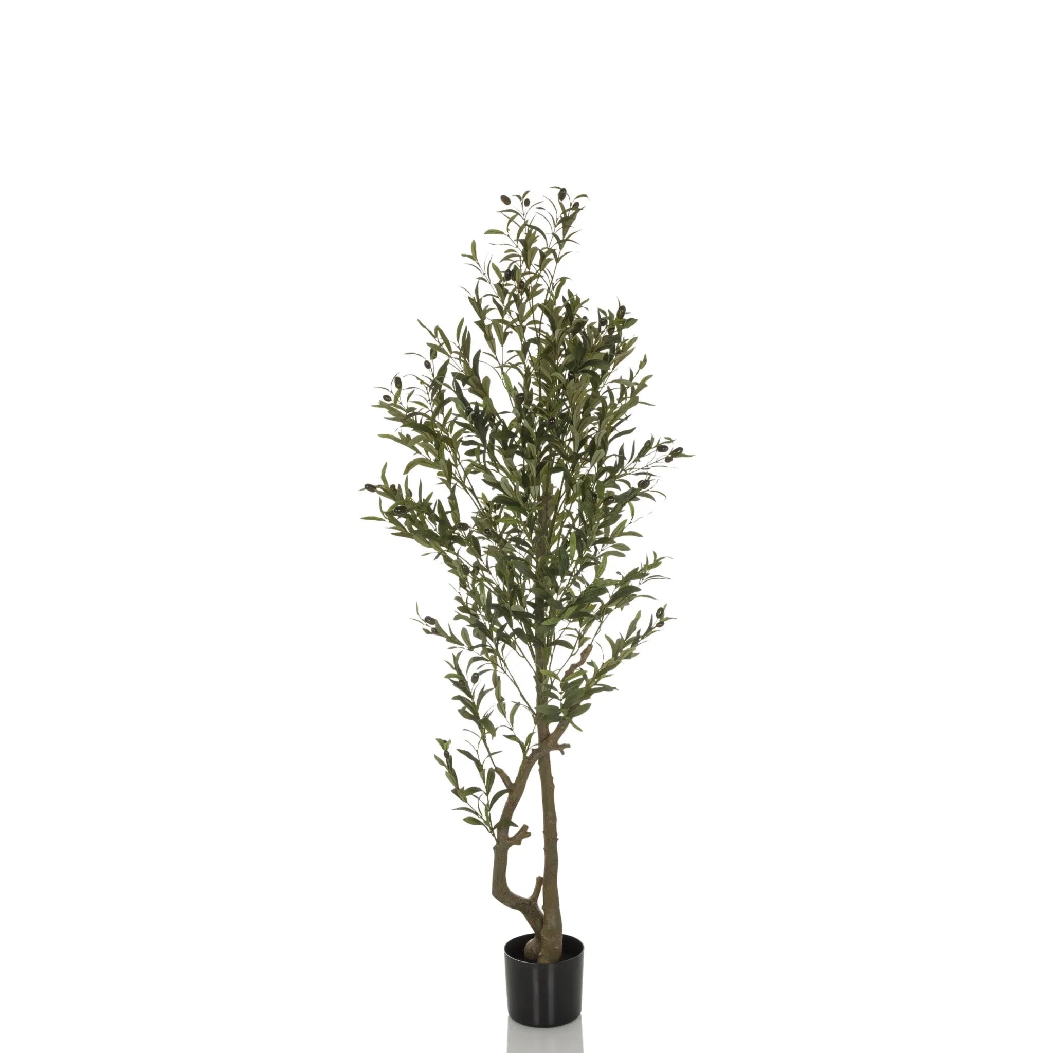 OLIVE I - Artificial plant