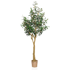OLIVE II - Artificial plant