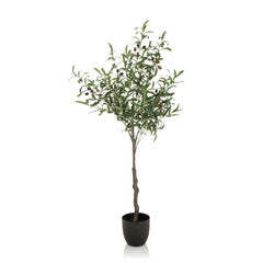 OLIVE - Artificial plant