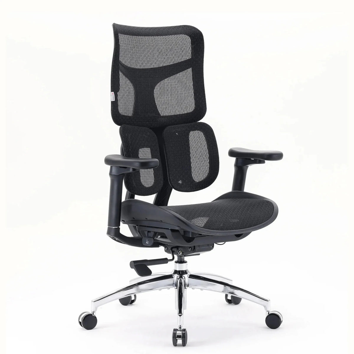 S100-M301 | Sihoo - Professional Office Chair