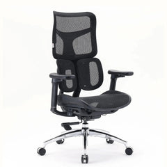S100-M301 | Sihoo - Professional Office Chair