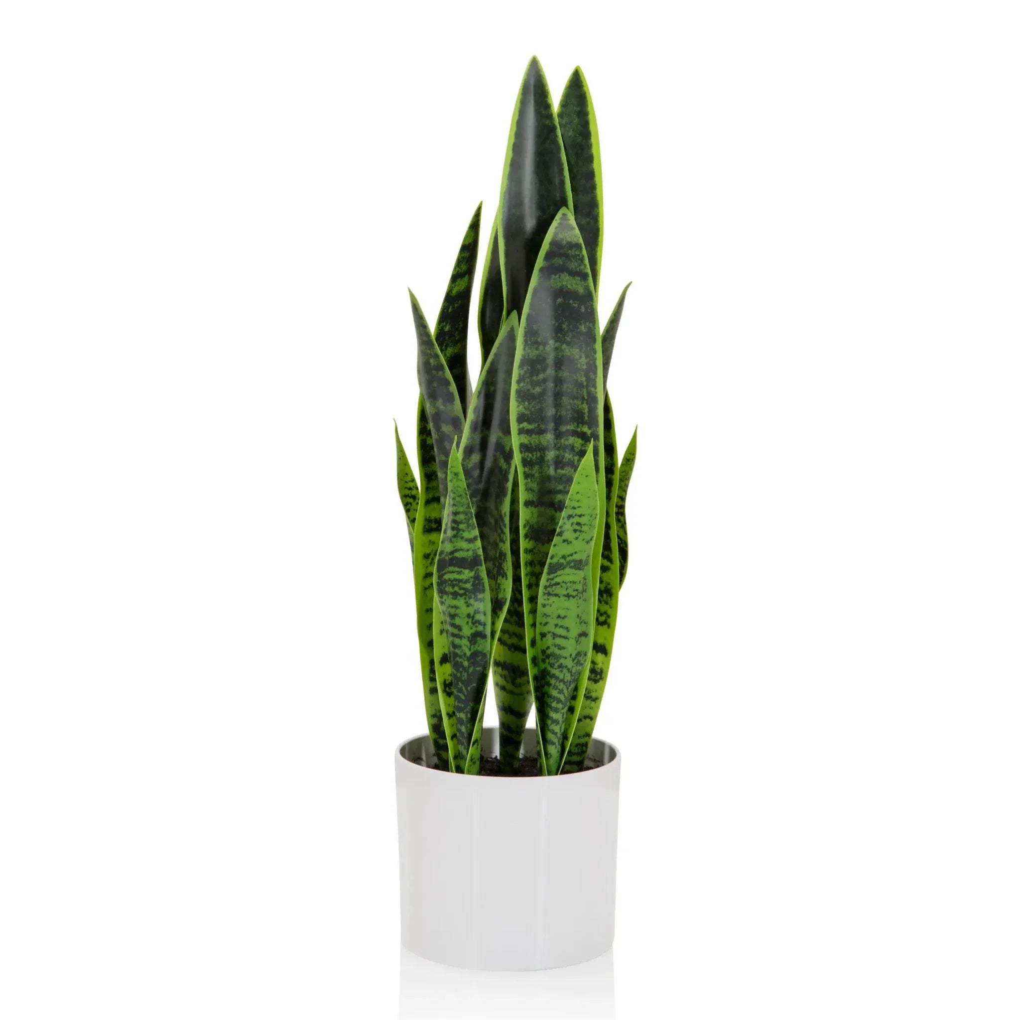 SANSEVIERIA - Artificial plant