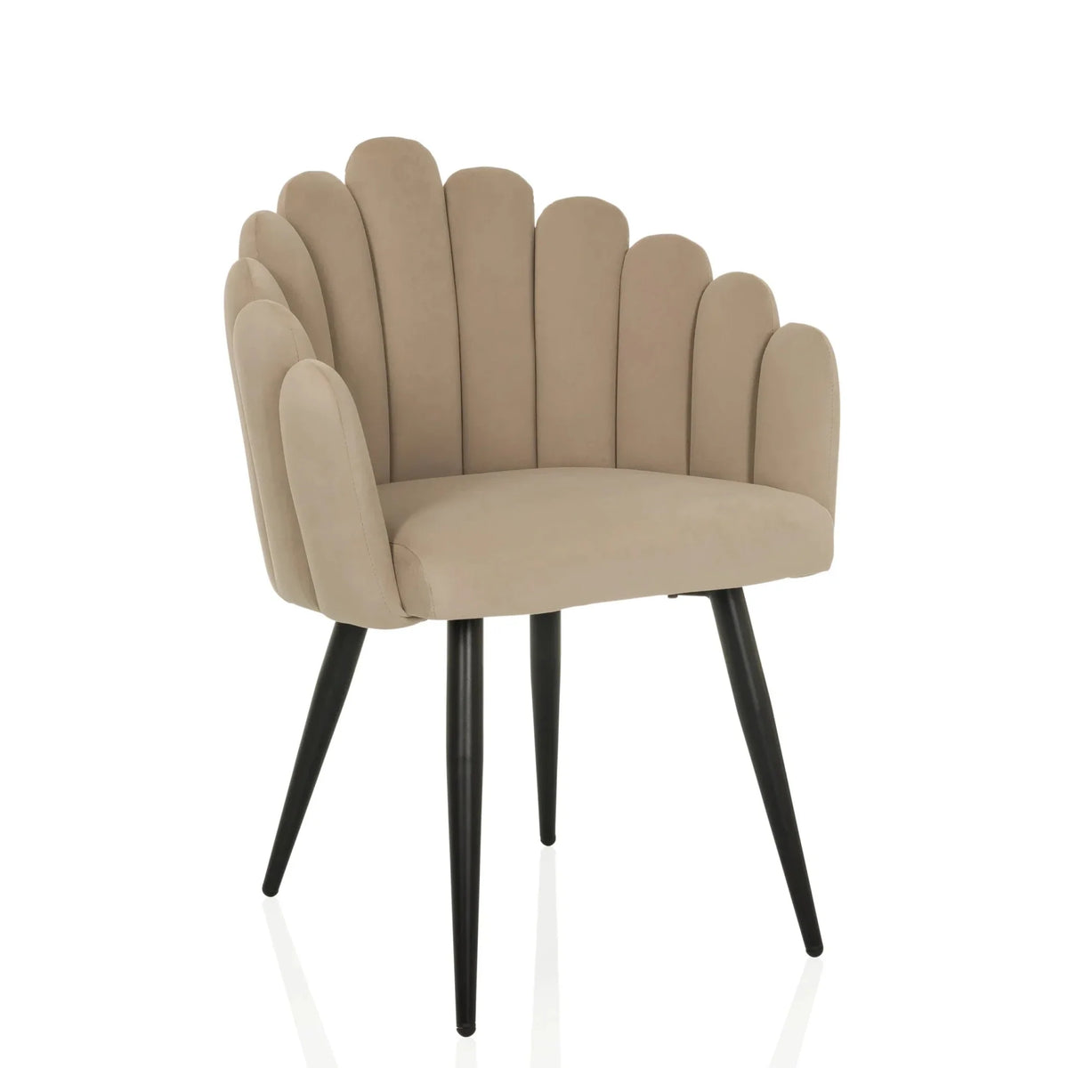 SCALLORE - Dining chair