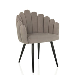 SCALLORE - Dining chair