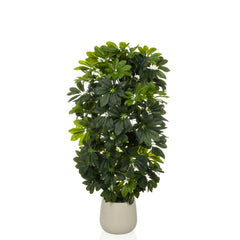 Schefflera 2 - Artificial plant
