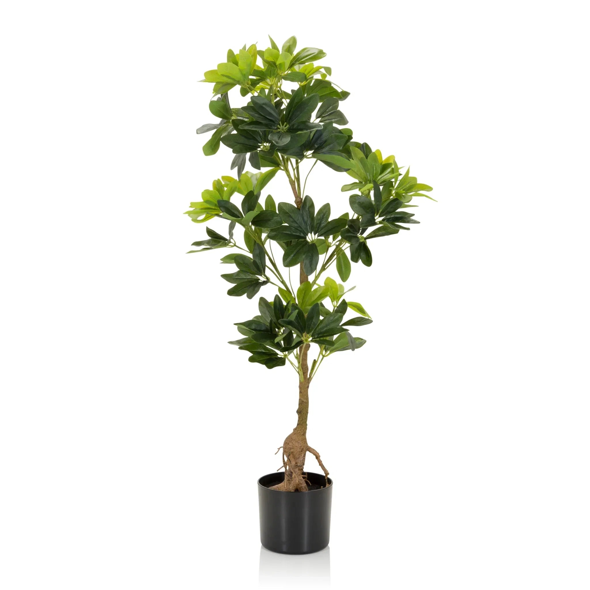 SCHEFFLERA - Artificial plant
