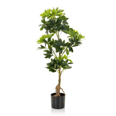 SCHEFFLERA - Artificial plant