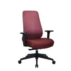 Verviq - Professional Office Chair